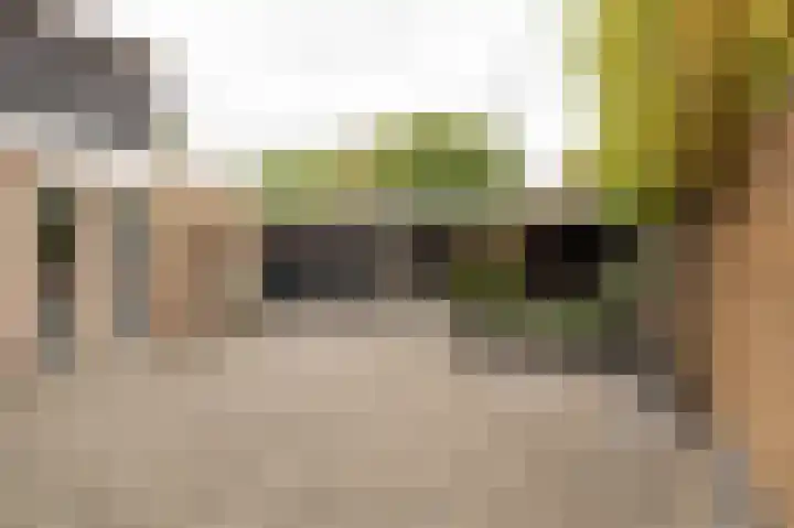 Anna Paulownastraat 20 Geldermalsen thumbnail 23
