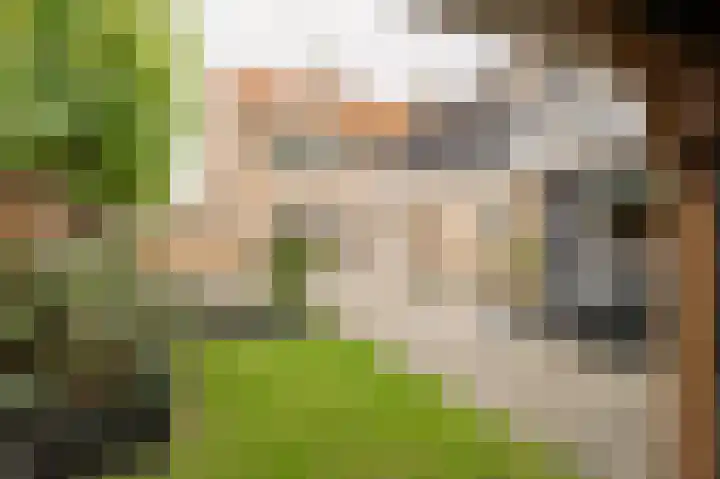 Anna Paulownastraat 20 Geldermalsen thumbnail 27