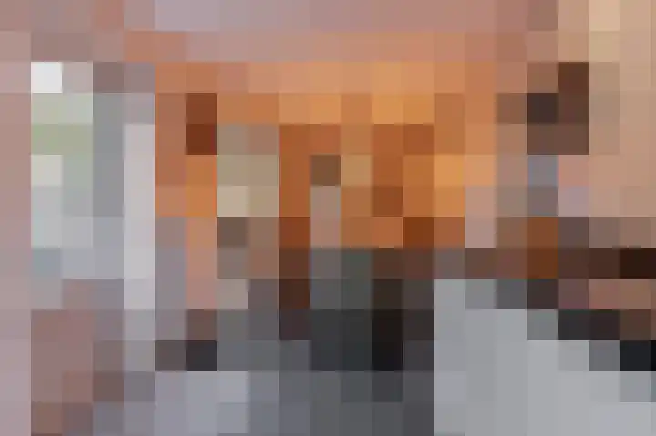 Anna Paulownastraat 20 Geldermalsen thumbnail 7