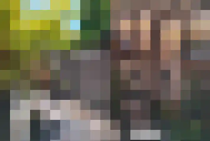 Anna Paulownastraat 21 Den Haag thumbnail 21
