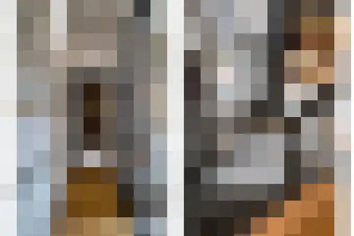Anna Paulownastraat 21 Den Haag thumbnail 37