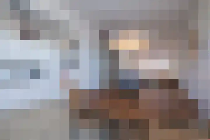 Anna Paulownastraat 21 Leiden thumbnail 17