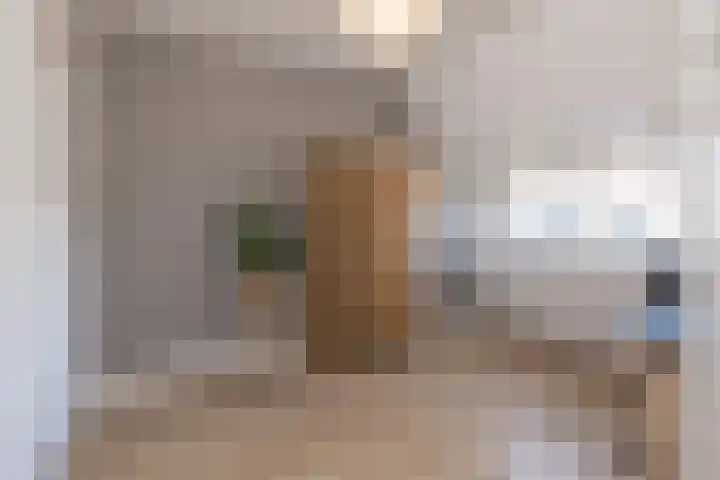 Anna Paulownastraat 21 Leiden thumbnail 37