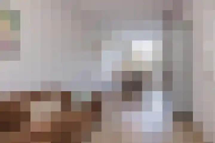 Anna Paulownastraat 21 Leiden thumbnail 8