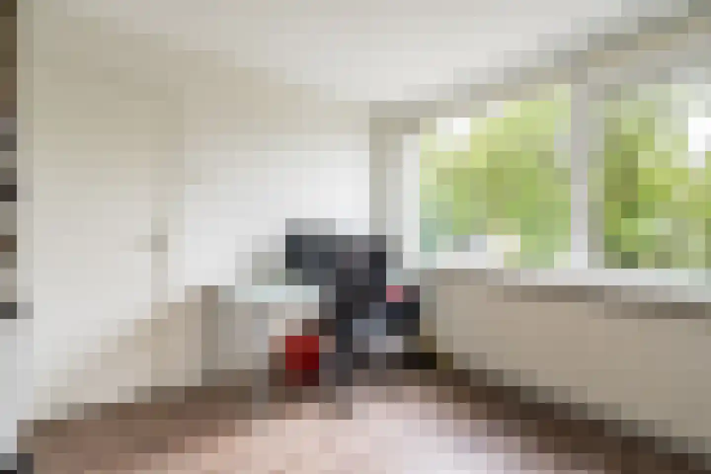 Anna Paulownastraat 27 Weert thumbnail 20