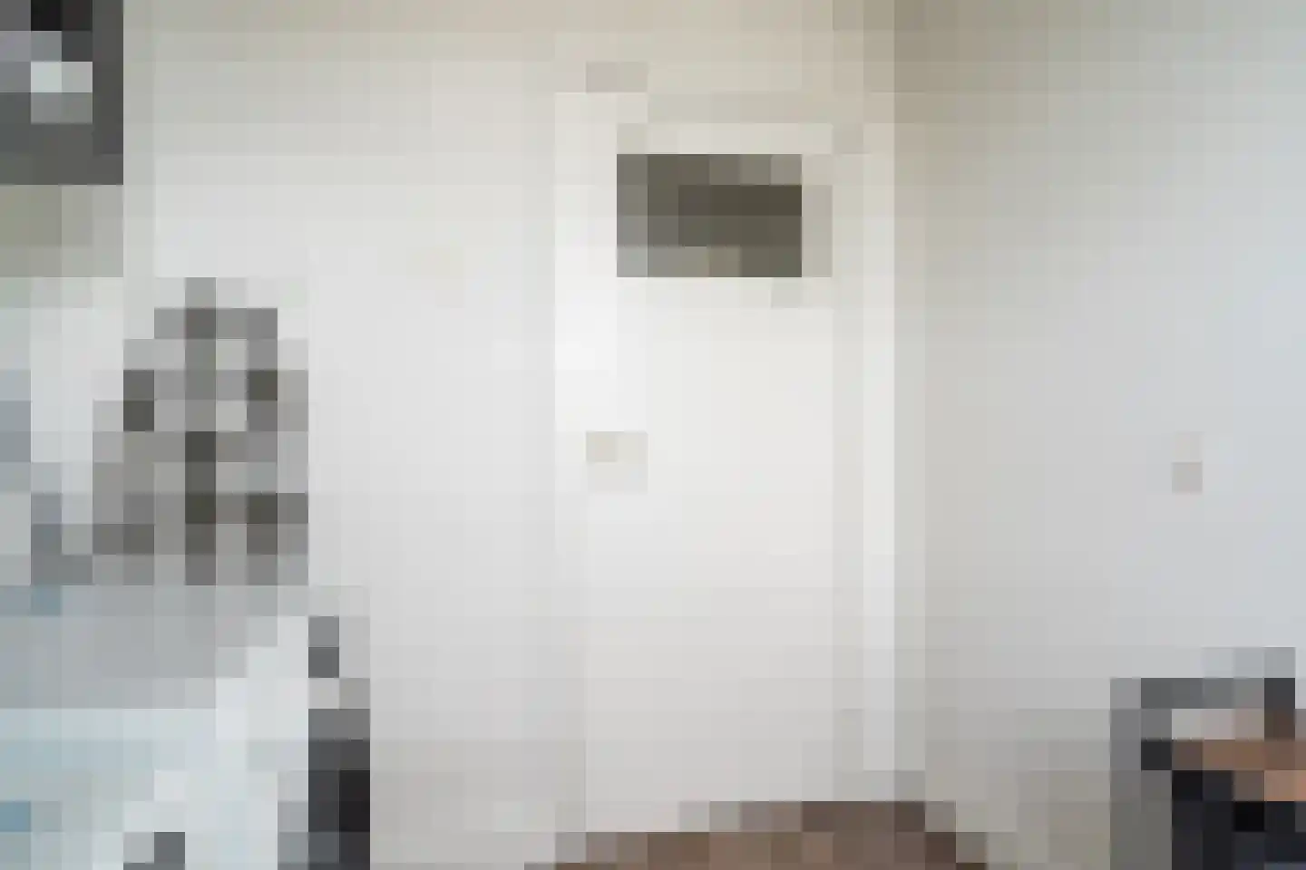 Anna Paulownastraat 27 Weert thumbnail 22