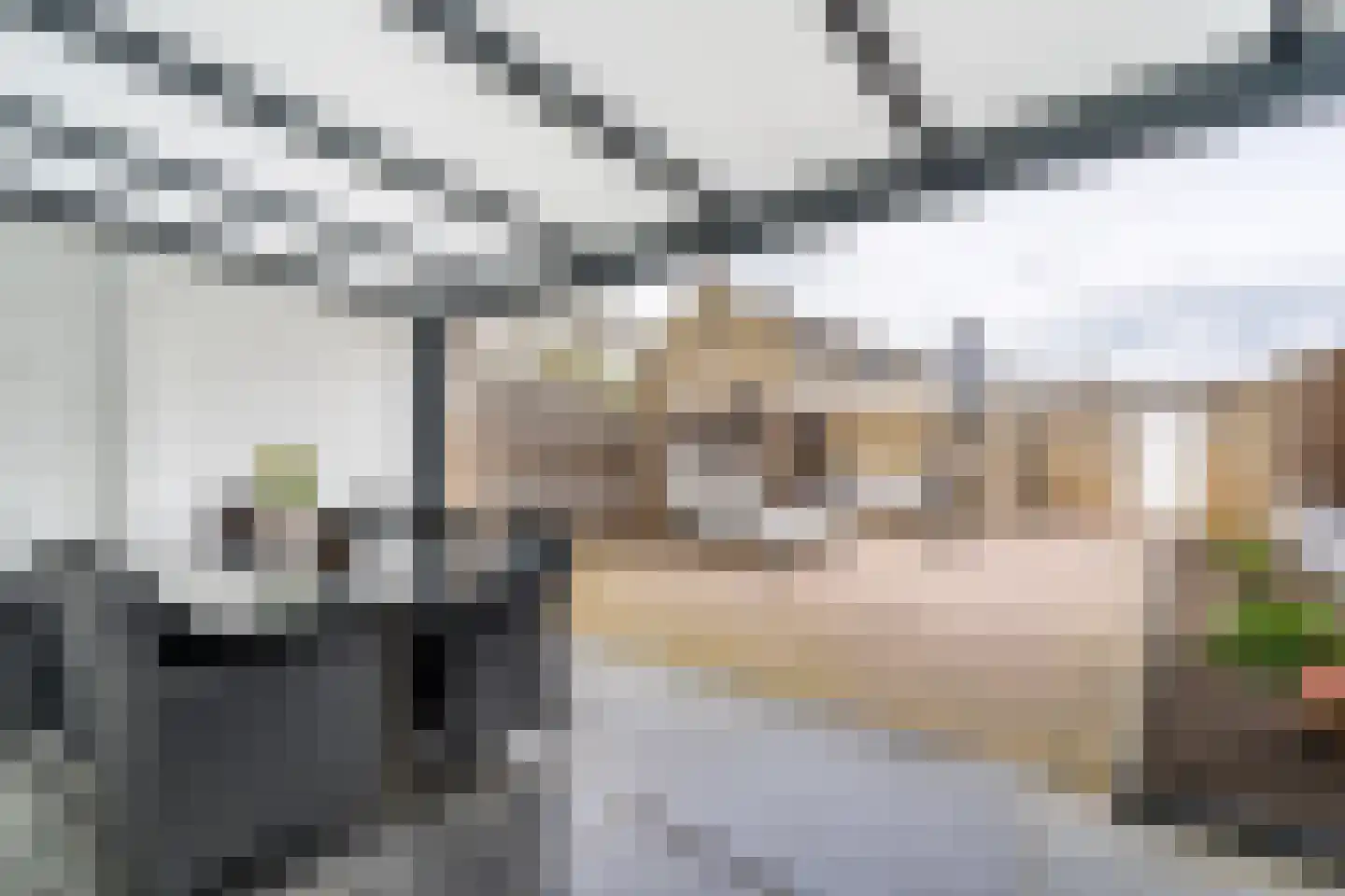 Anna Paulownastraat 27 Weert thumbnail 24