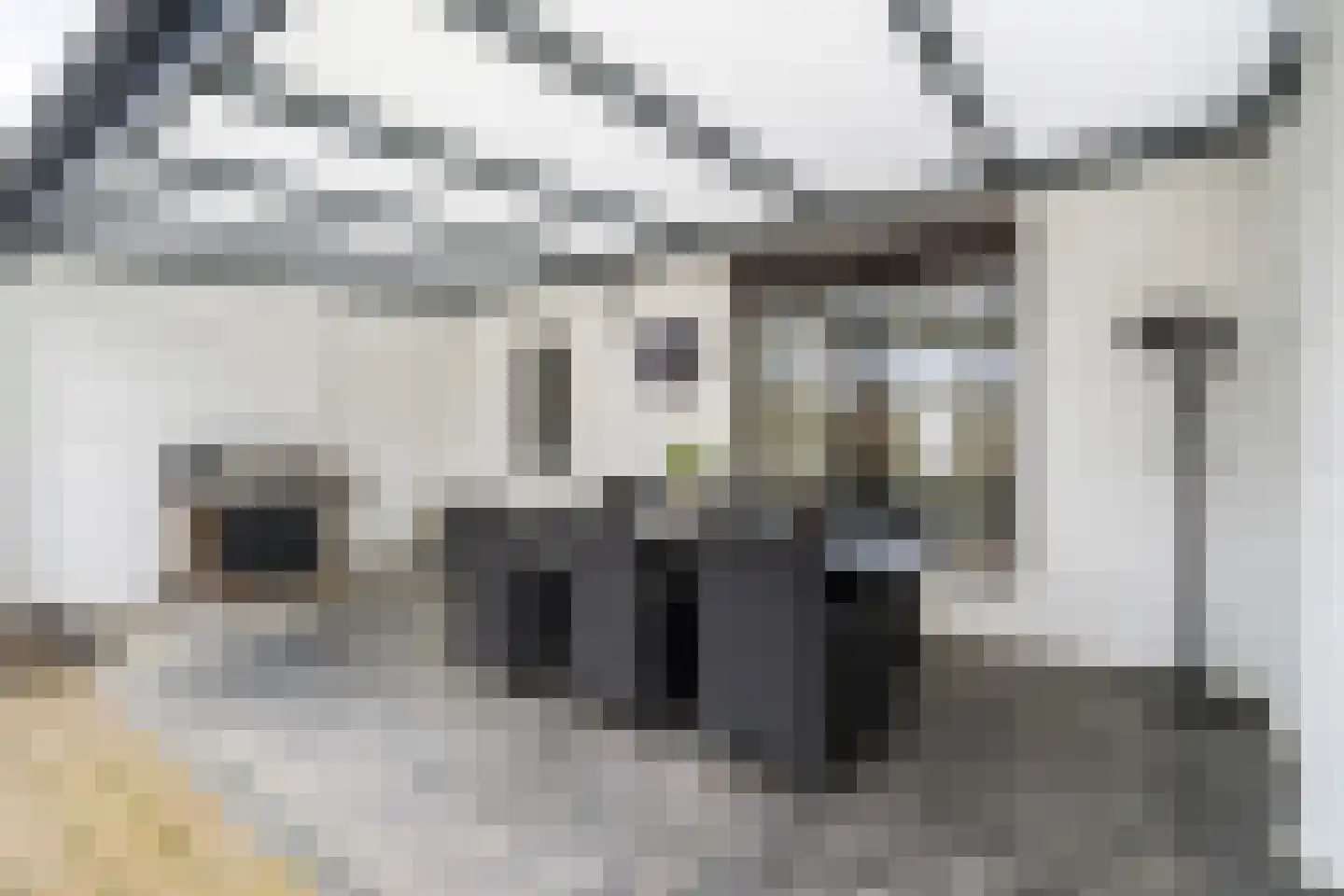 Anna Paulownastraat 27 Weert thumbnail 26