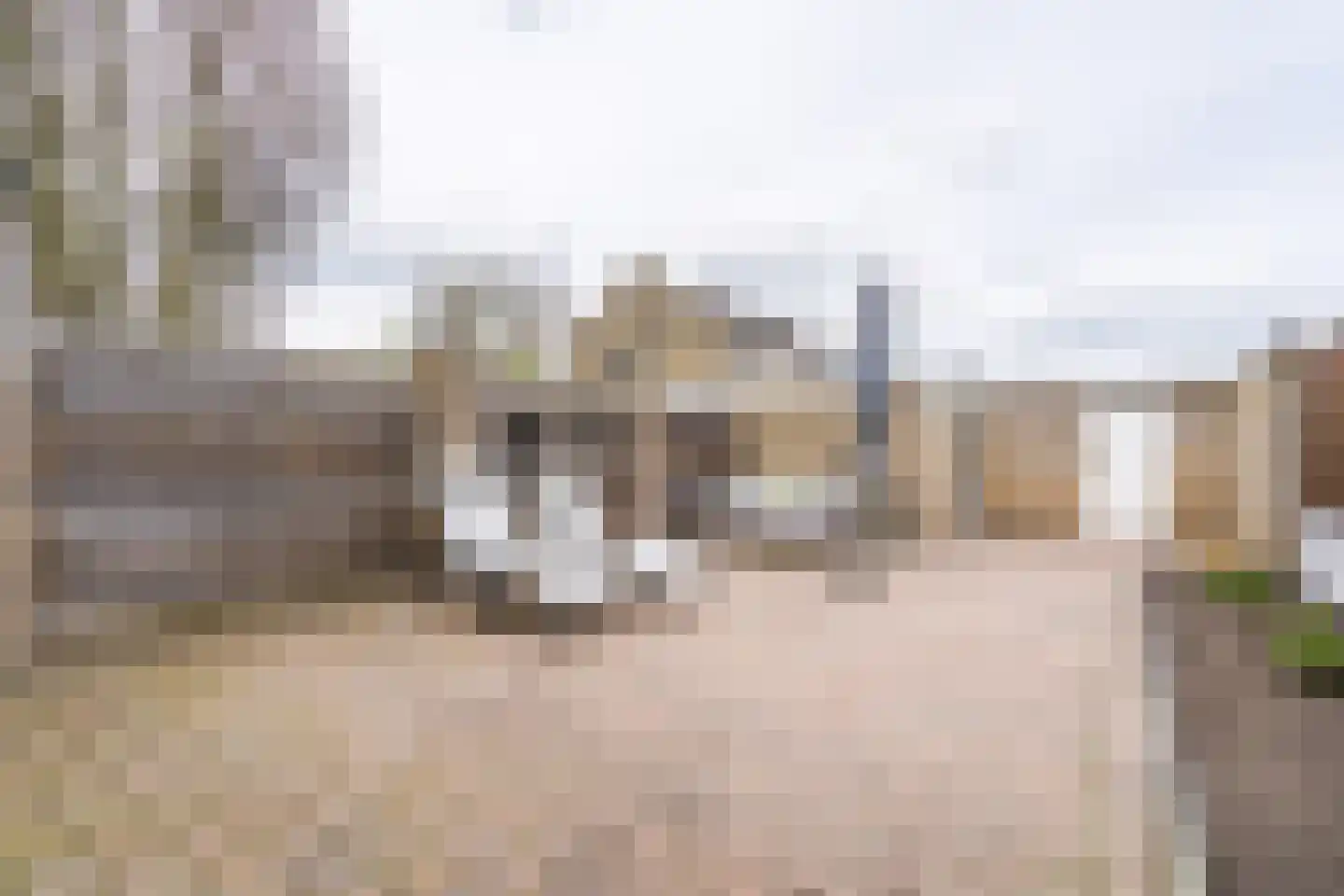Anna Paulownastraat 27 Weert thumbnail 27
