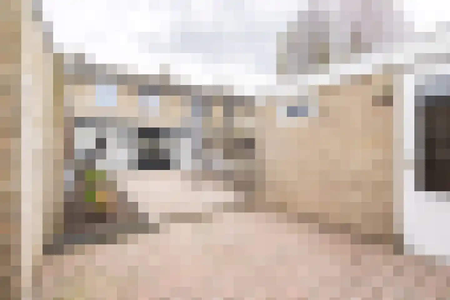 Anna Paulownastraat 27 Weert thumbnail 4