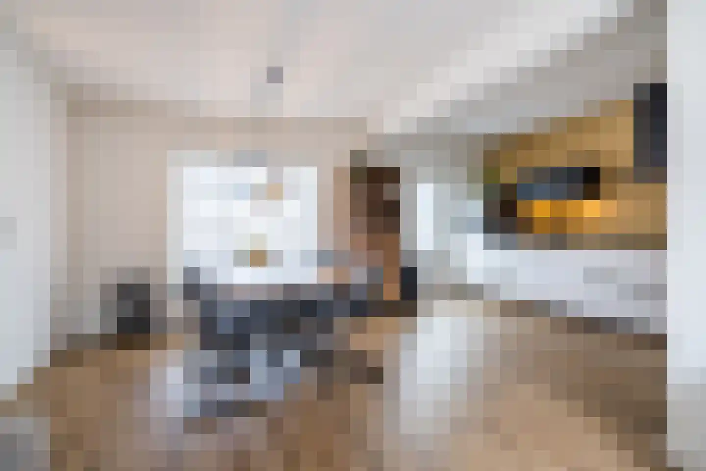 Anna Paulownastraat 27 Weert thumbnail 7