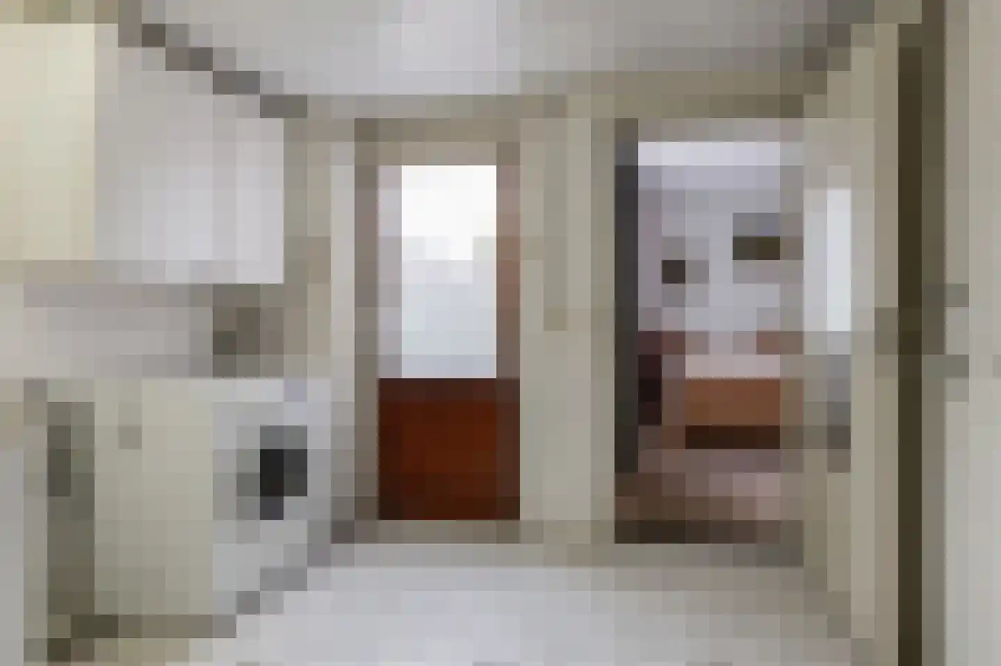 Anna Paulownastraat 28 Geldermalsen thumbnail 13