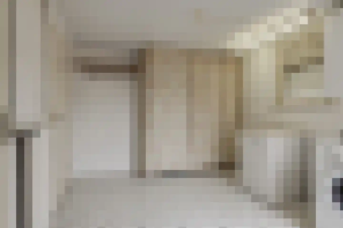 Anna Paulownastraat 28 Geldermalsen thumbnail 14