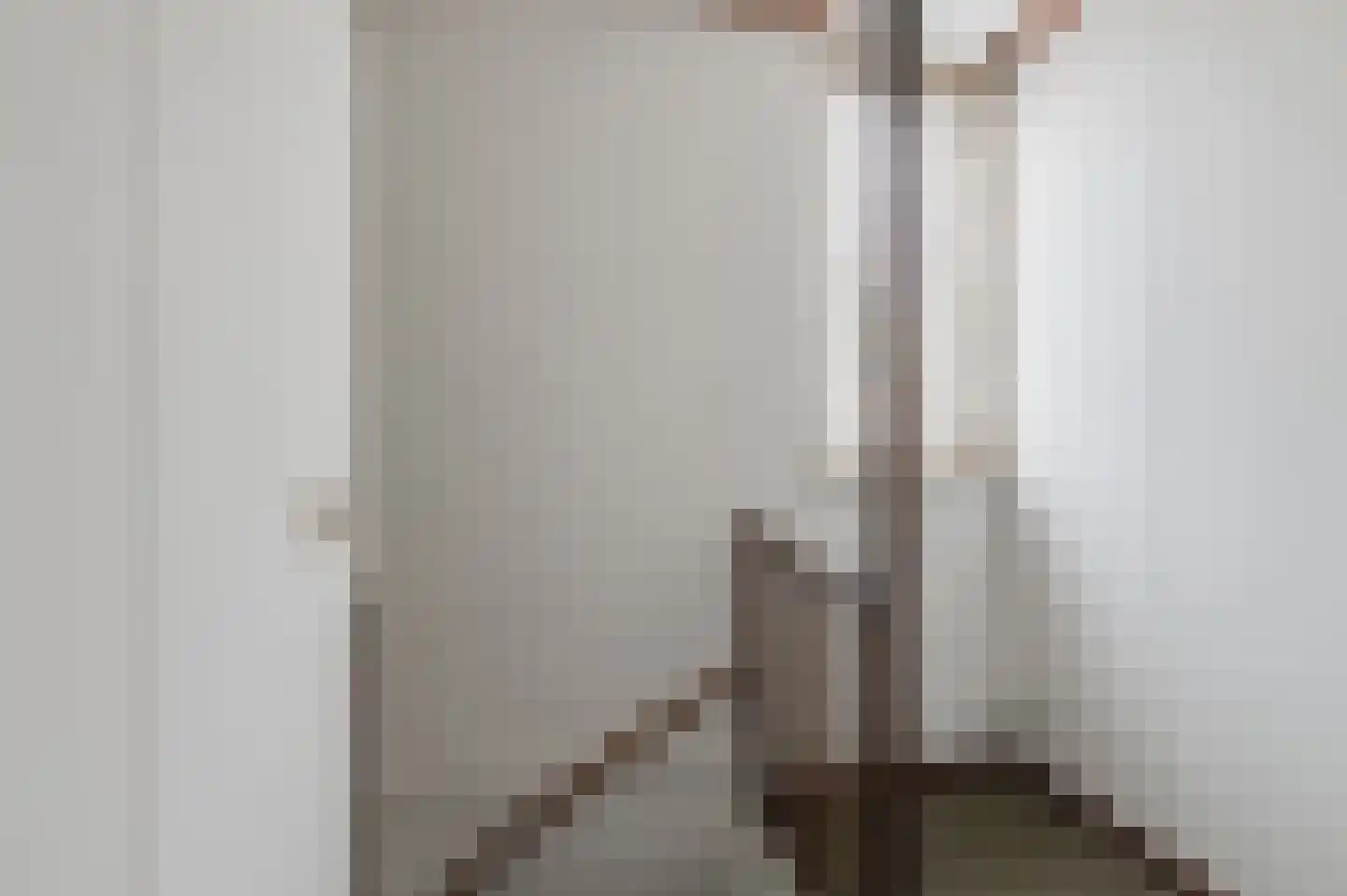 Anna Paulownastraat 28 Geldermalsen thumbnail 16