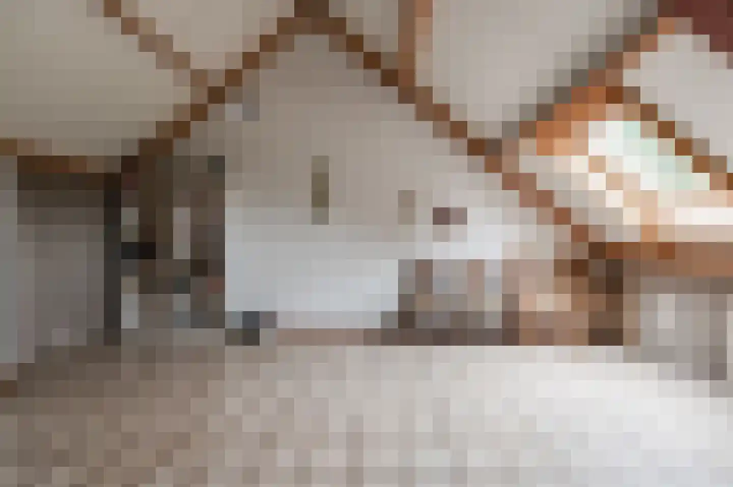Anna Paulownastraat 28 Geldermalsen thumbnail 17