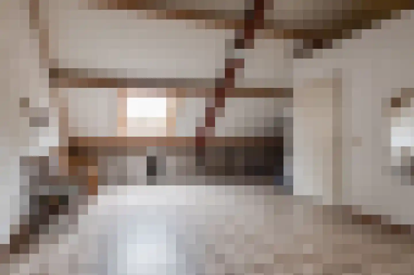 Anna Paulownastraat 28 Geldermalsen thumbnail 18