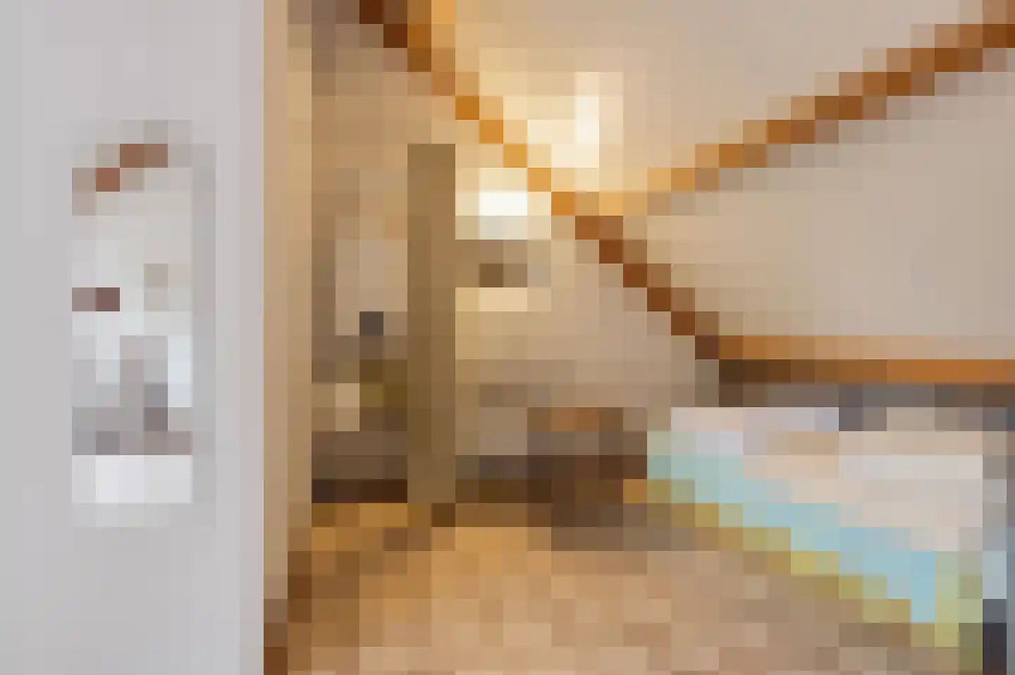Anna Paulownastraat 28 Geldermalsen thumbnail 20
