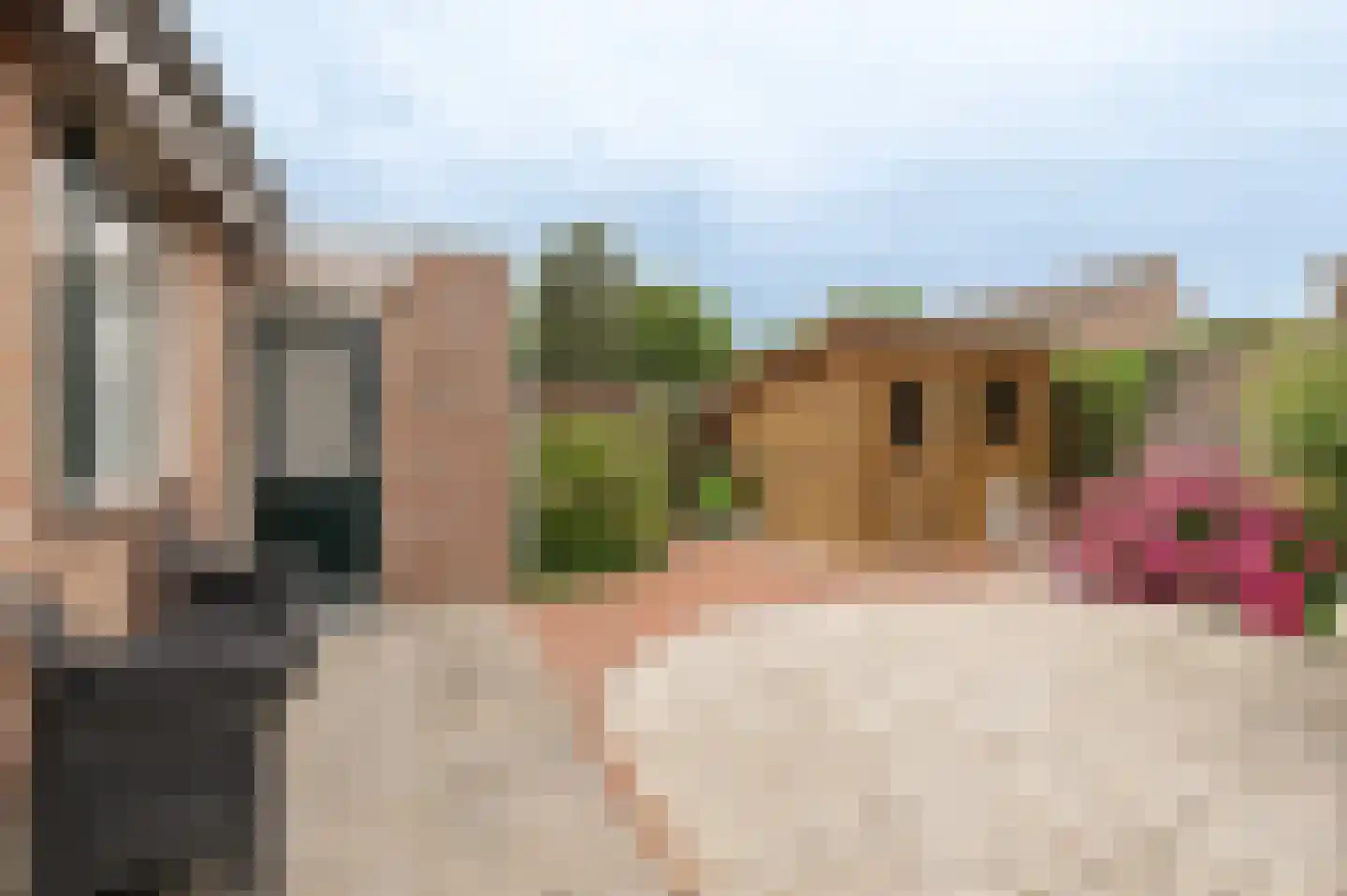 Anna Paulownastraat 28 Geldermalsen thumbnail 21
