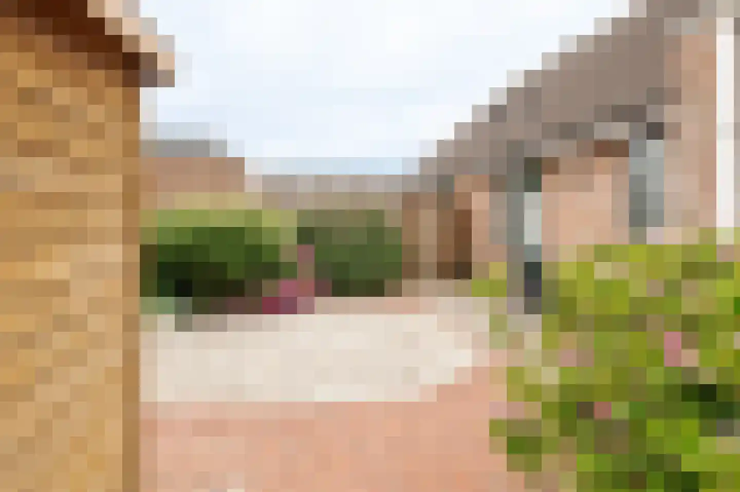 Anna Paulownastraat 28 Geldermalsen thumbnail 23