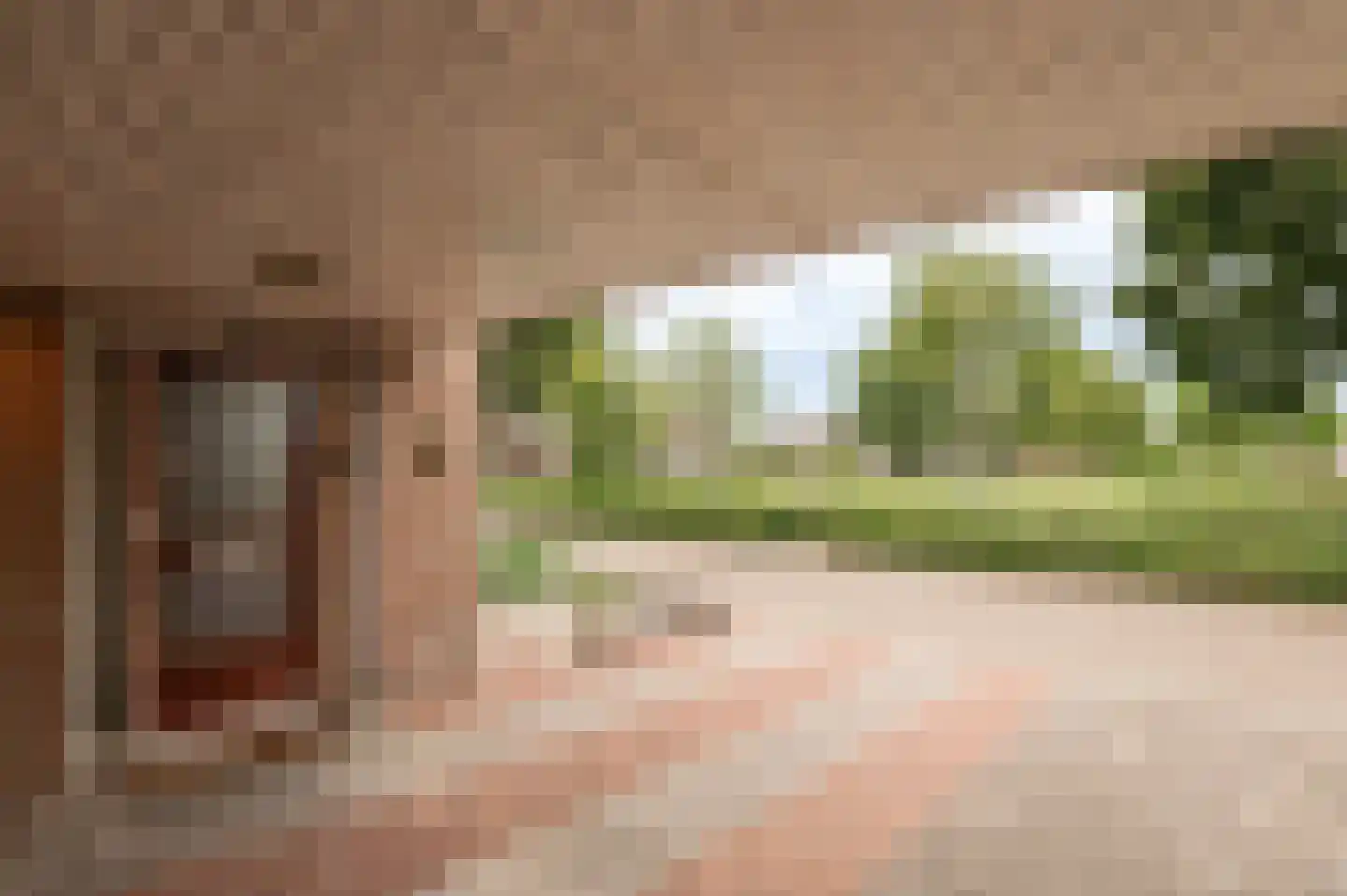 Anna Paulownastraat 28 Geldermalsen thumbnail 4
