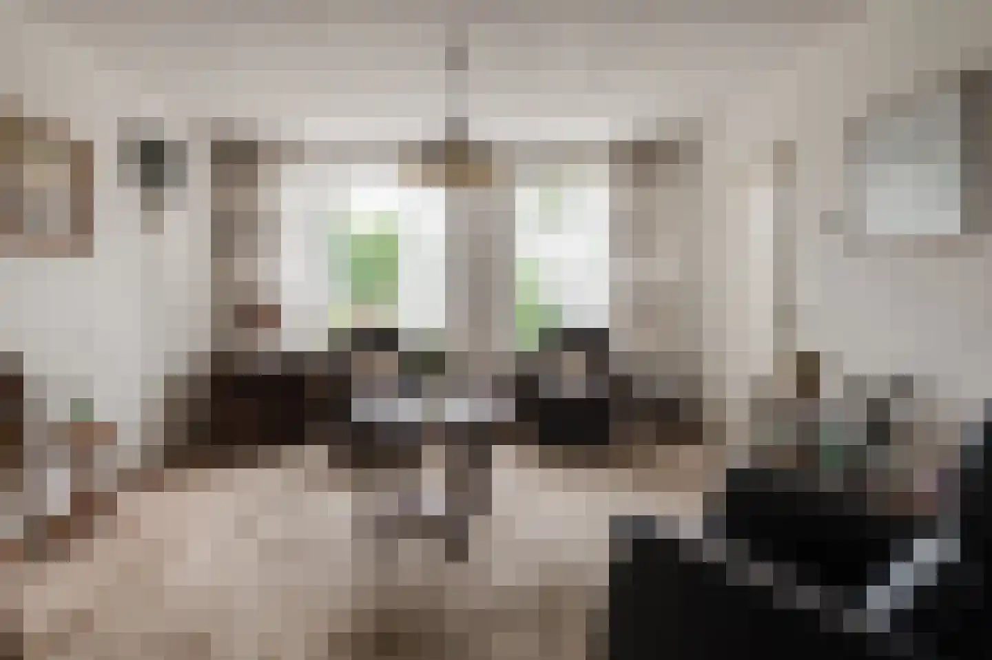 Anna Paulownastraat 28 Geldermalsen thumbnail 5