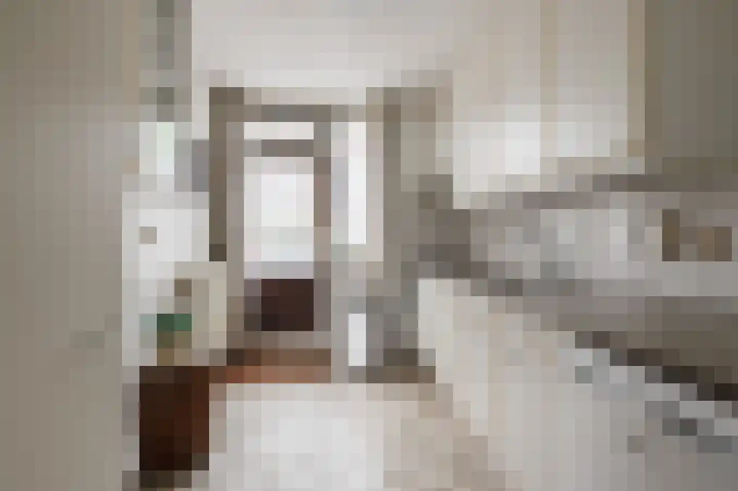 Anna Paulownastraat 28 Geldermalsen thumbnail 7