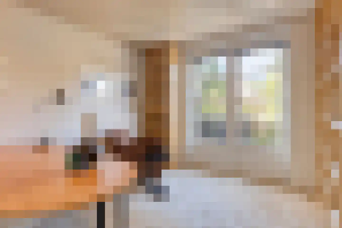 Anna Paulownastraat 32 Eindhoven thumbnail 23