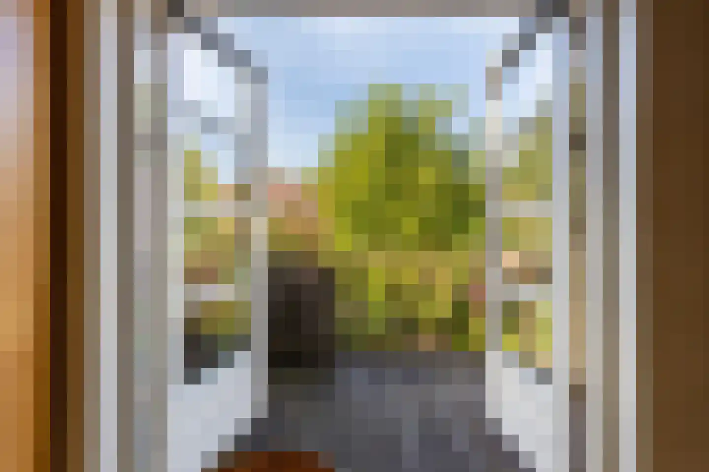 Anna Paulownastraat 32 Eindhoven thumbnail 24