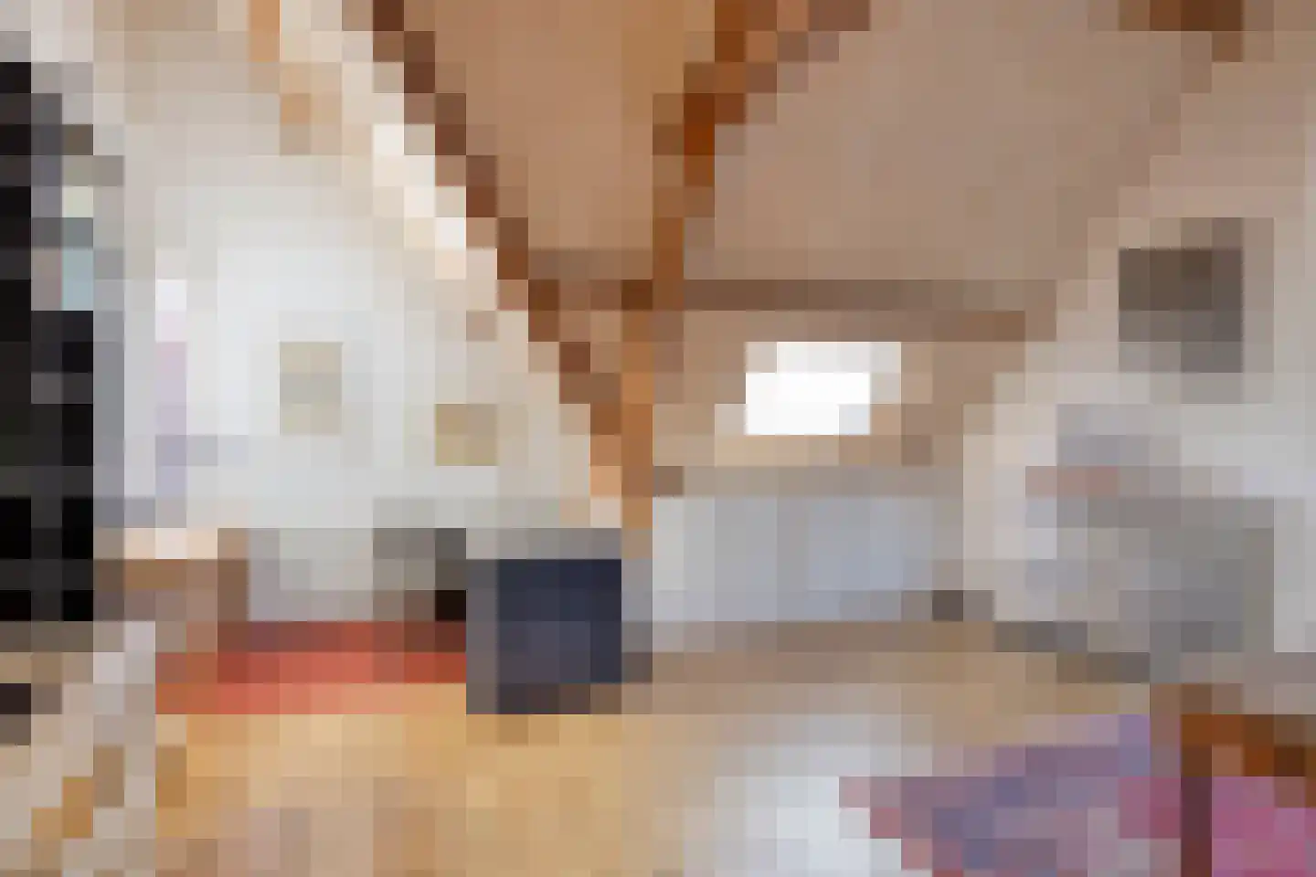 Anna Paulownastraat 32 Eindhoven thumbnail 31