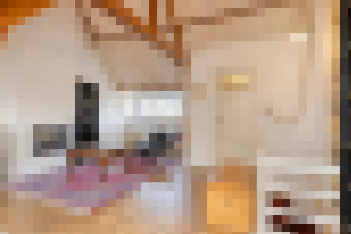 Anna Paulownastraat 32 Eindhoven thumbnail 32