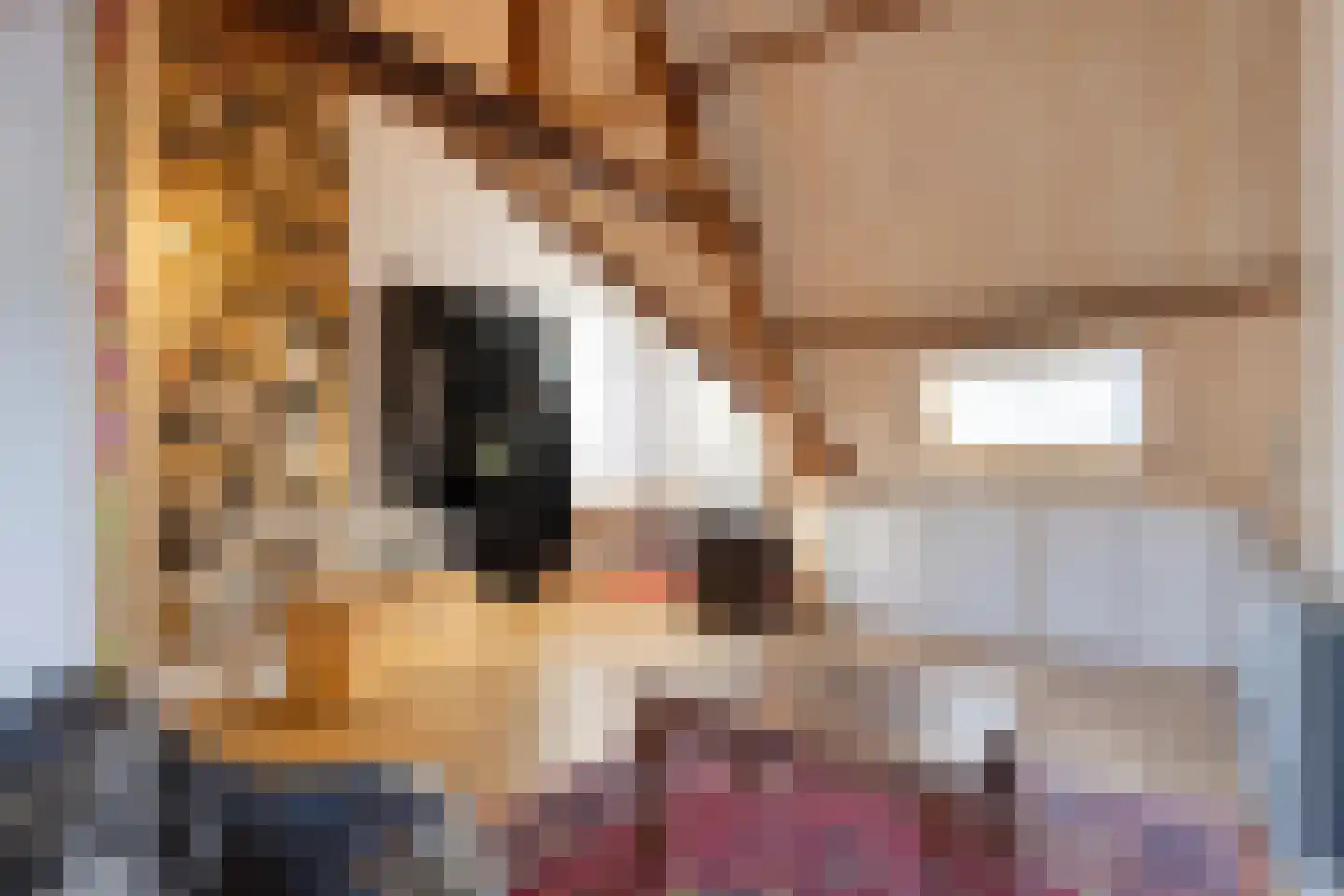 Anna Paulownastraat 32 Eindhoven thumbnail 35