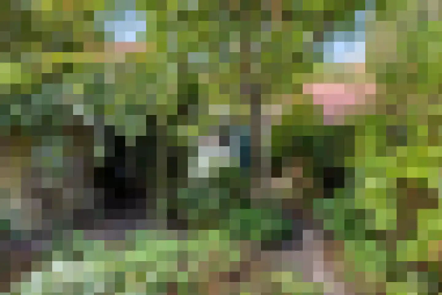 Anna Paulownastraat 32 Eindhoven thumbnail 36