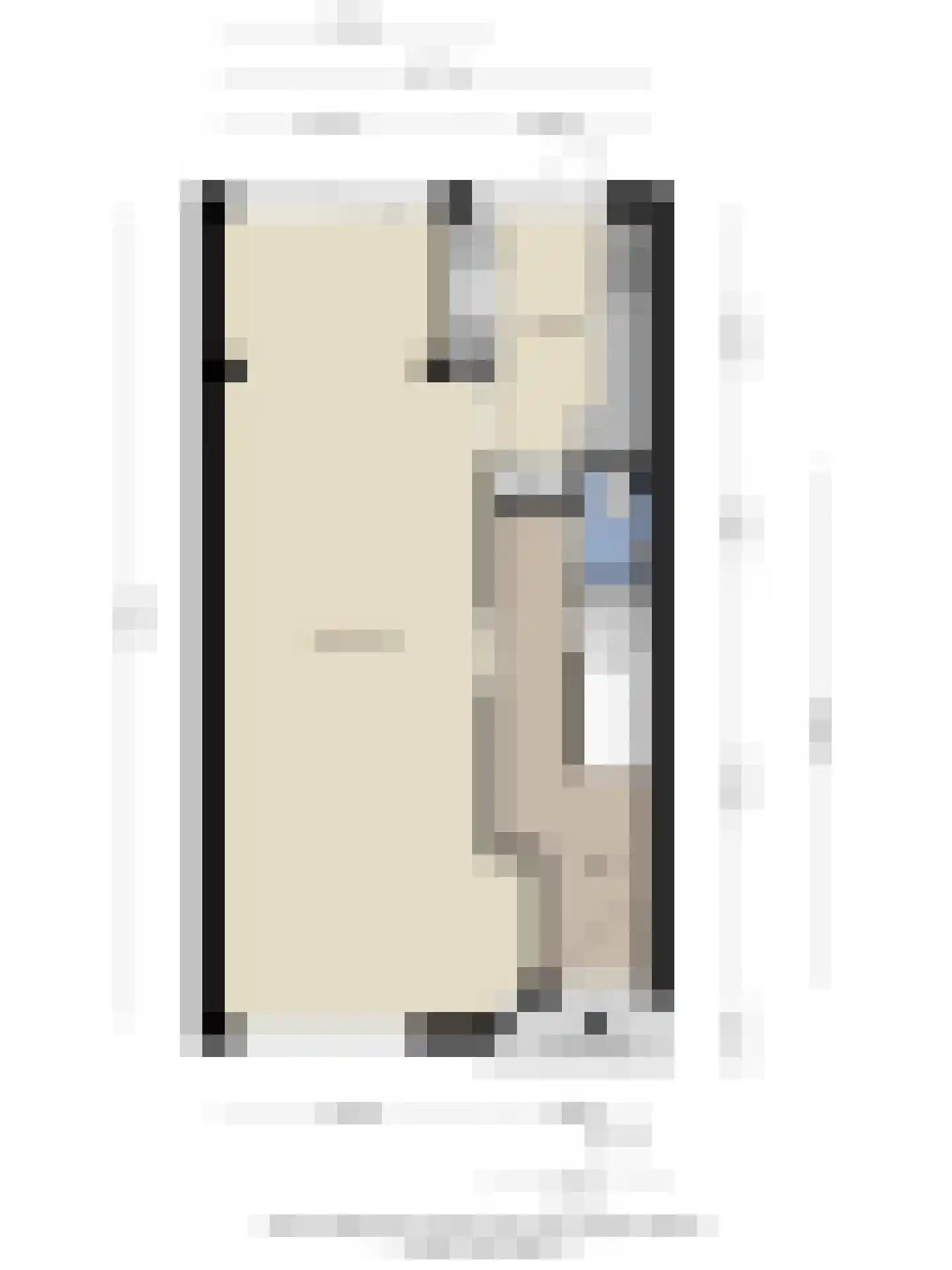 Anna Paulownastraat 32 Eindhoven thumbnail 42
