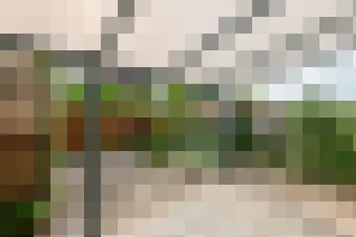 Anna Paulownastraat 4 Geldermalsen thumbnail 10