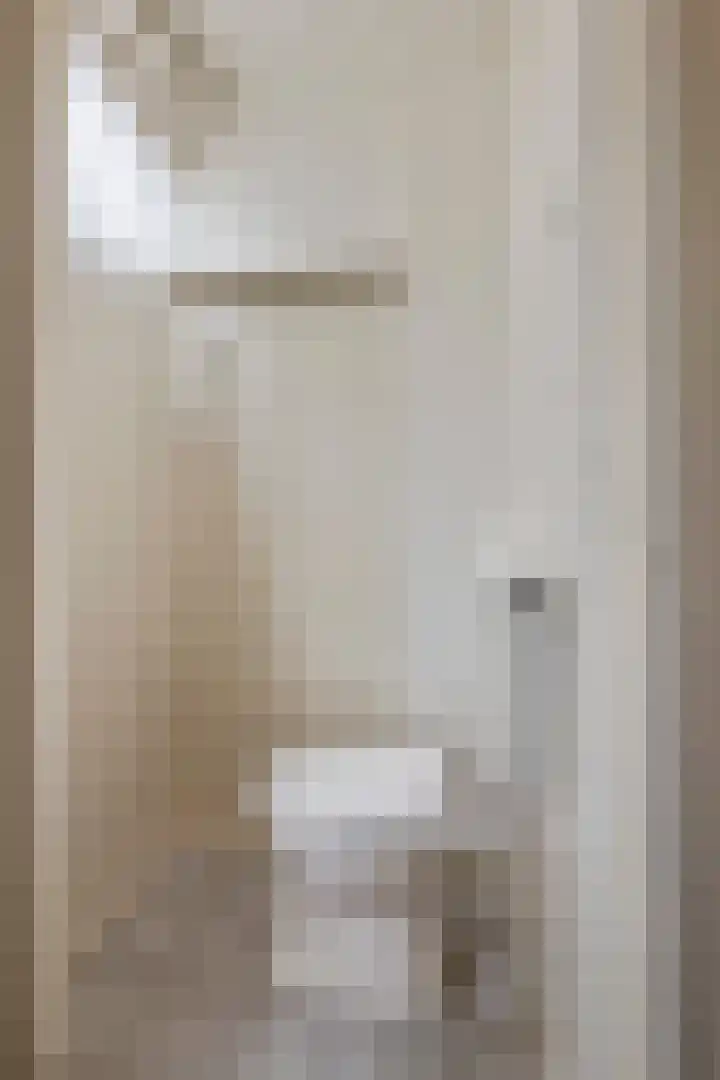 Anna Paulownastraat 4 Geldermalsen thumbnail 12