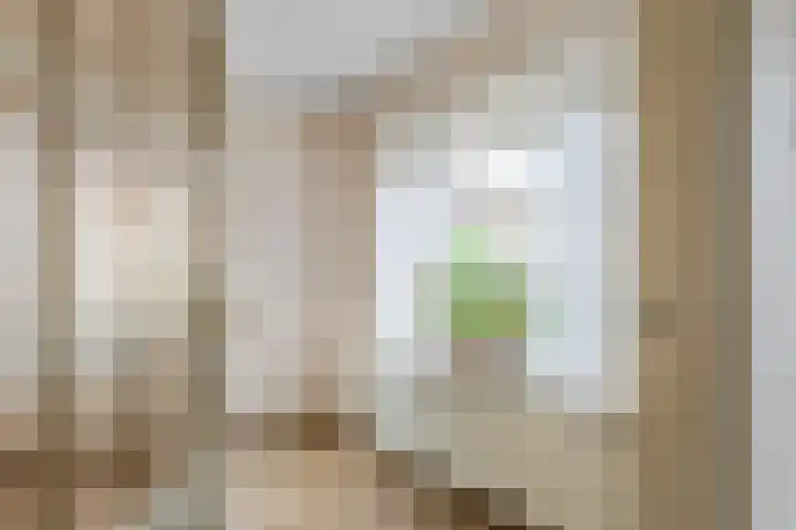 Anna Paulownastraat 4 Geldermalsen thumbnail 13