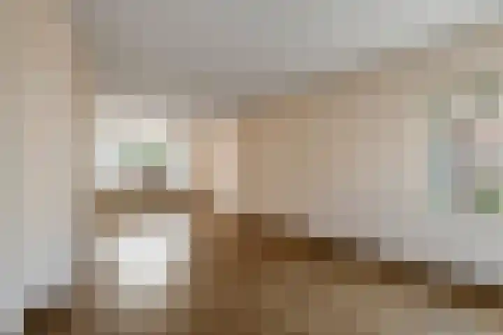 Anna Paulownastraat 4 Geldermalsen thumbnail 15