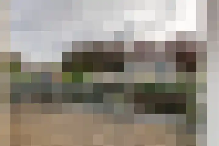 Anna Paulownastraat 4 Geldermalsen thumbnail 24