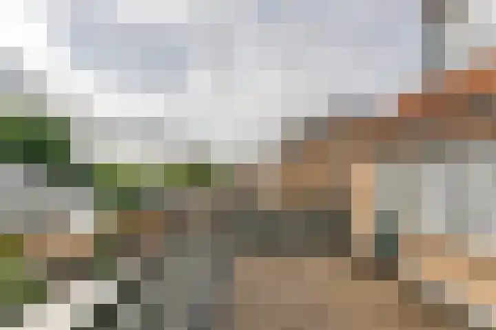 Anna Paulownastraat 4 Geldermalsen thumbnail 25