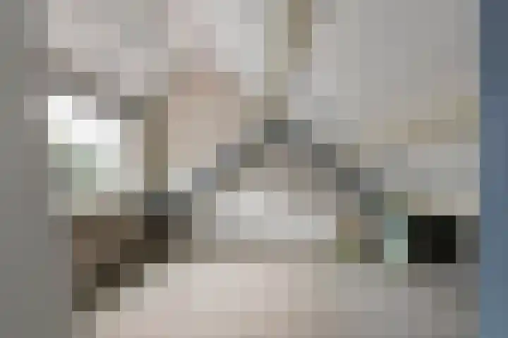 Anna Paulownastraat 4 Geldermalsen thumbnail 31