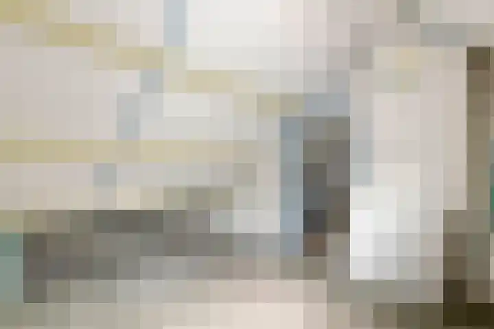 Anna Paulownastraat 4 Geldermalsen thumbnail 33