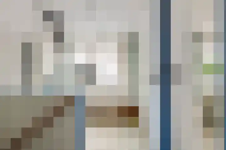 Anna Paulownastraat 4 Geldermalsen thumbnail 34