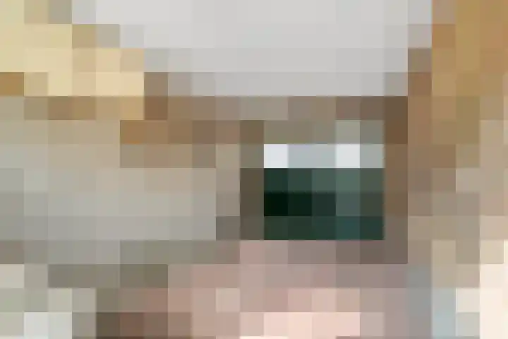 Anna Paulownastraat 4 Geldermalsen thumbnail 36