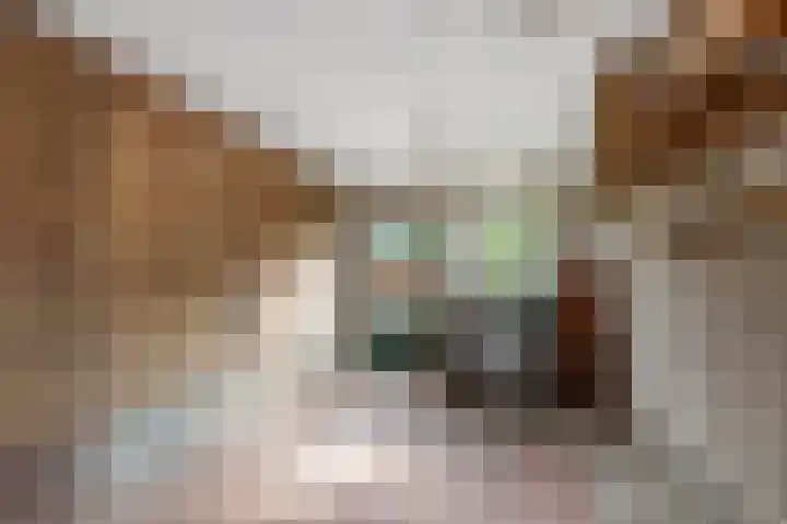 Anna Paulownastraat 4 Geldermalsen thumbnail 37