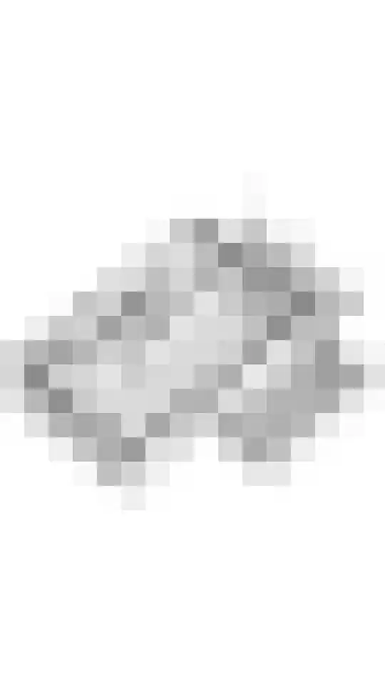 Anna Paulownastraat 4 Geldermalsen thumbnail 39