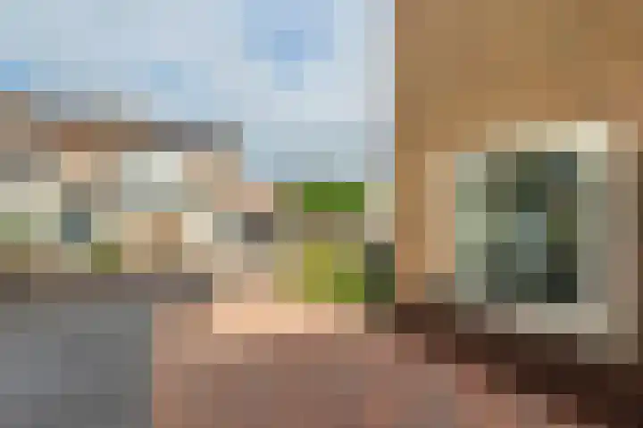Anna Paulownastraat 4 Geldermalsen thumbnail 4