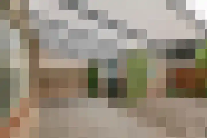 Anna Paulownastraat 4 Geldermalsen thumbnail 5