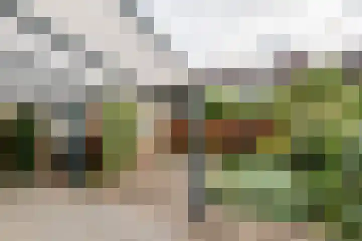 Anna Paulownastraat 4 Geldermalsen thumbnail 6