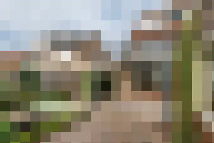 Anna Paulownastraat 4 Geldermalsen thumbnail 7
