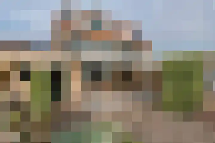 Anna Paulownastraat 4 Geldermalsen thumbnail 8
